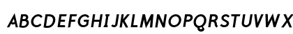 Polymer Bold Italic Uppercase Preview