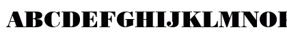 00536 Regular Preview