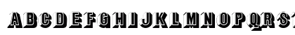 ParapaDisplayCapsSSK Regular Uppercase Preview