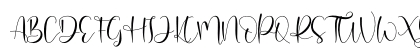 Domiland Regular Uppercase Preview