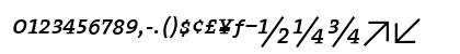 TheSerif Italic Uppercase Preview