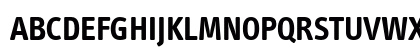 InfoText BoldCaps Uppercase Preview