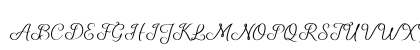 Shelly Script Regular Uppercase Preview