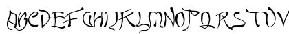 Quasi Regular Preview