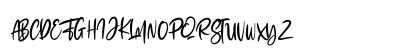 The Fashionist Personal Use Regular Preview