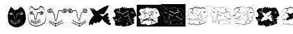 VariationsForPablo Regular Preview