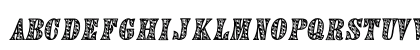 FD Textured 2 regular Preview