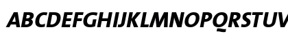 TheSans Italic Uppercase Preview