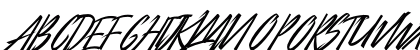 City Of Panonama Italic Italic Preview