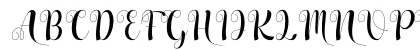 New Chapter Regular Uppercase Preview