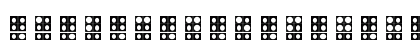 WLM Braille 4 Regular Uppercase Preview