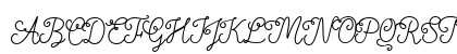 Nyckelpiga Regular Uppercase Preview