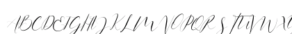 Anita Jane Regular Uppercase Preview