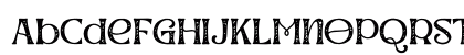 Werd Texture Uppercase Preview