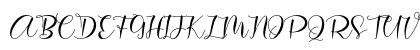 Ainsley Regular Uppercase Preview