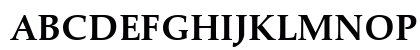 Palatino eText Bold Uppercase Preview