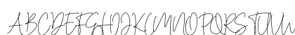 Cassual Signature Regular Preview