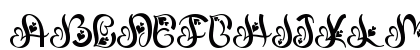 Thanks Beauty Demo Regular Uppercase Preview