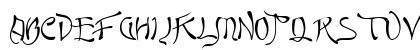 Quasi Regular Preview