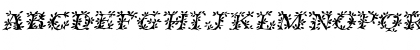 IvyDisplayCaps Italic Font