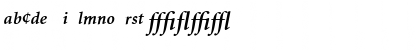 Minion Expert Bold Italic Font
