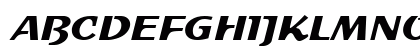 Sprint DB Medium Preview