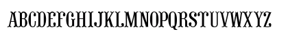 Stereopticon Regular Preview