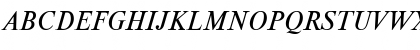 Newton Italic Font
