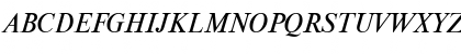 NewtonCTT Italic Font