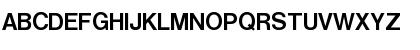 NimbusSanP Bold Font