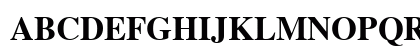Times Bold Preview