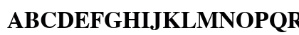 Times Bold Preview