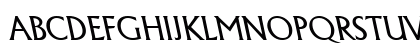 AcclaimBackslantLight Regular Preview