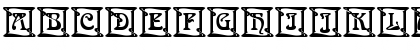 TT Fors Trial Italic Preview
