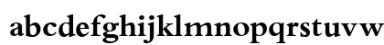 Bergamo Bold Lowercase Preview
