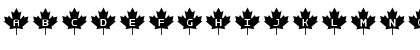 RCMP Regular Font