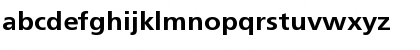 SchranerExt-Bol Regular Font