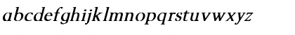 TechPhonetic bold italic Bold Italic Font