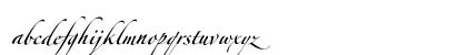 Zapfino Forte LT Pro Regular Lowercase Preview