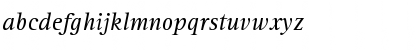 AgfaRotisSerif Italic Font