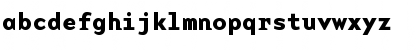 BaseMono Bold Font