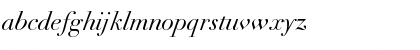 Didot LT Std Italic Font