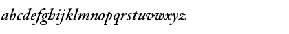 DTLElzevirSMedium Italic Font