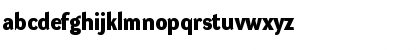 DynaGrotesk D Bold Font