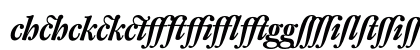 DTL Fleischmann D Alternative Bold Italic Lowercase Preview