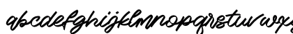 Rafots Signature Regular Lowercase Preview