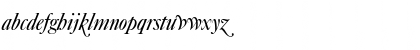 Caslon-Elegant-Swash Italic Font
