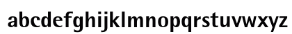 RotisSemiSans Regular Preview