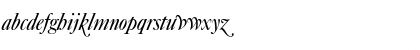 CaslonNo540SwaD Italic Font