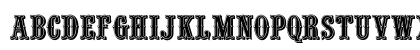 SilverDollar Regular Preview